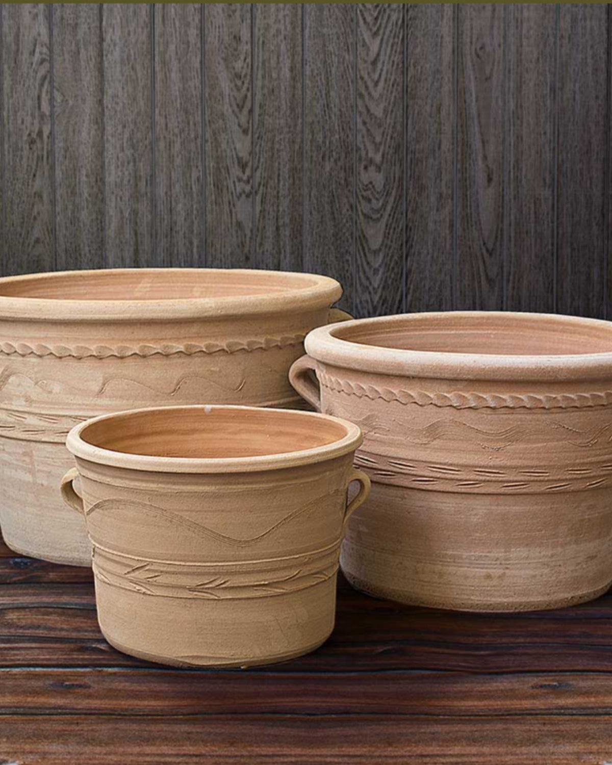 Two Handled Terracotta Planters