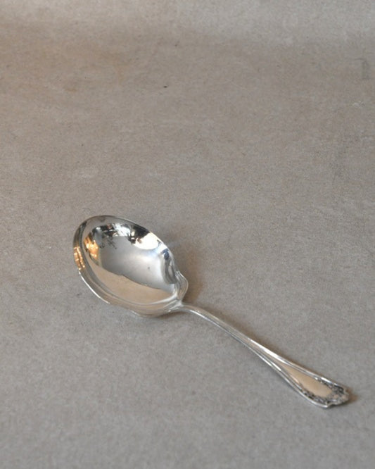 Silver Serving Spoon