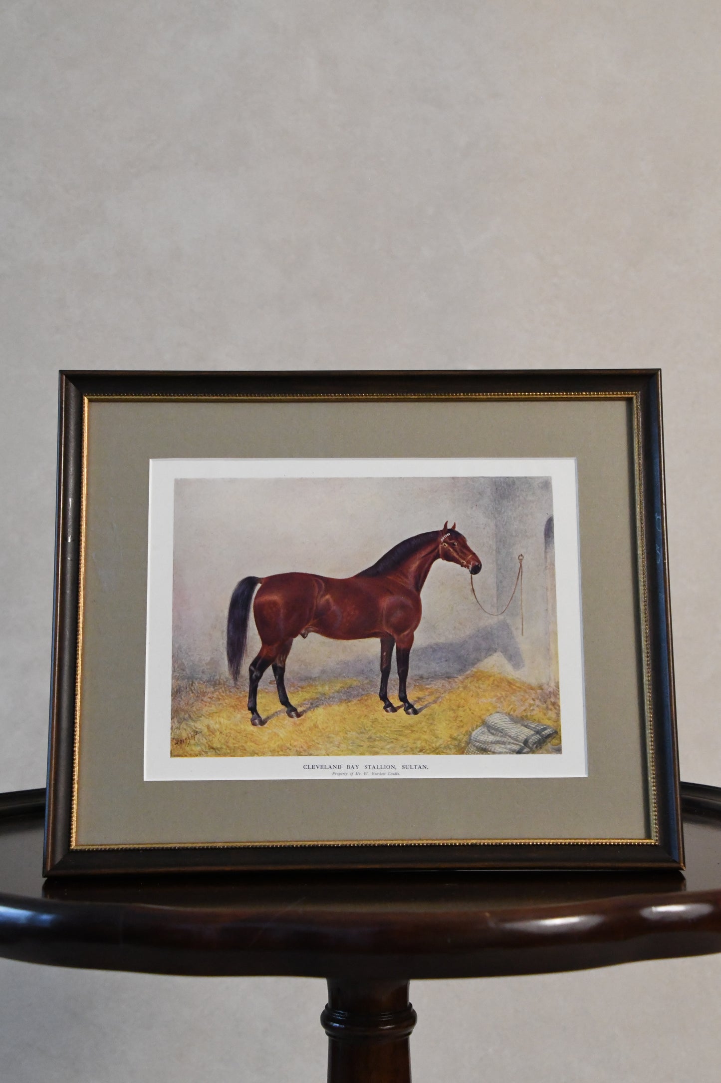 Antique English Horse Lithographs