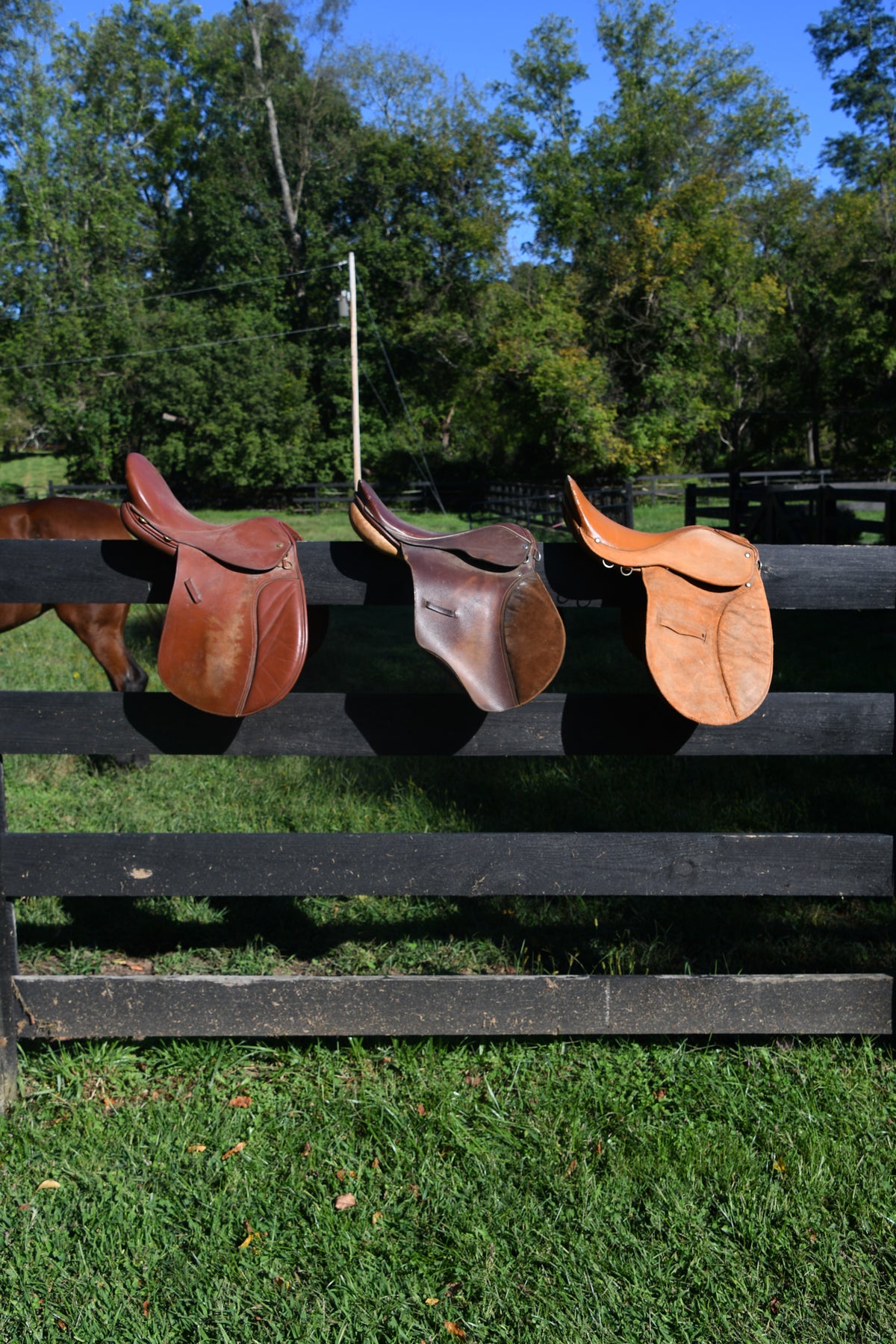 Vintage Leather Riding Saddles