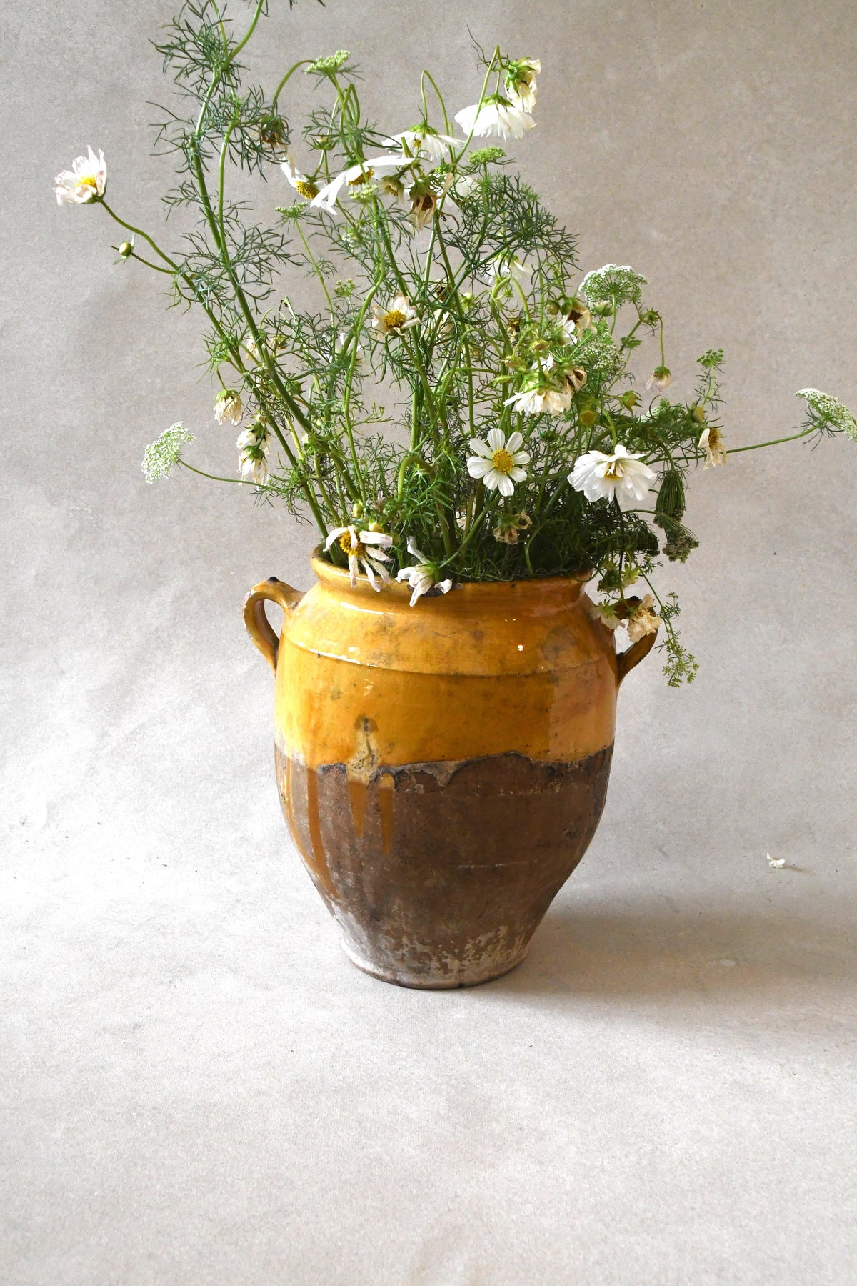 Antique French Confit Jar