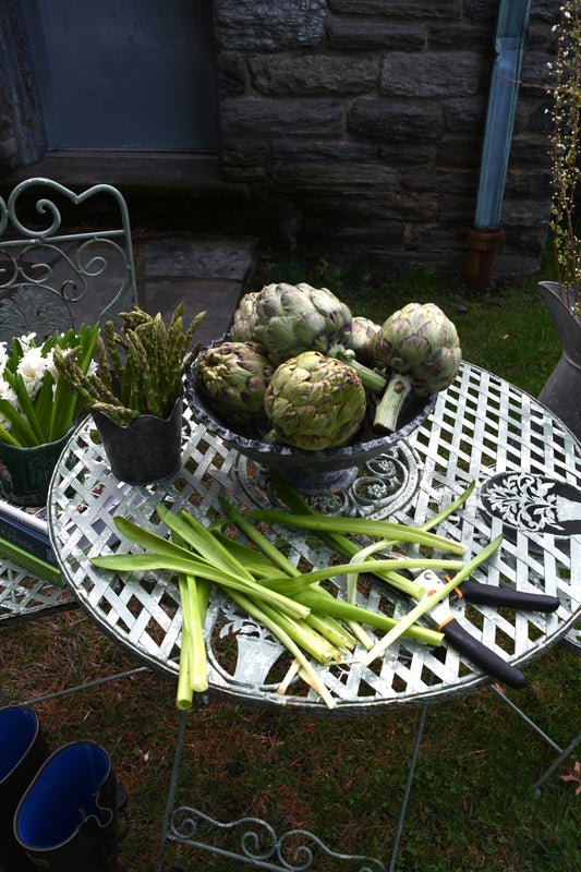 Vintage Iron Garden Table and Chairs
