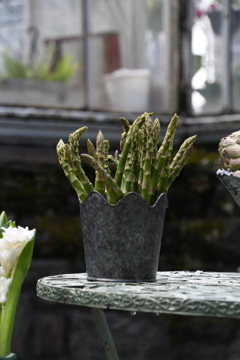 Vintage Scalloped Planter