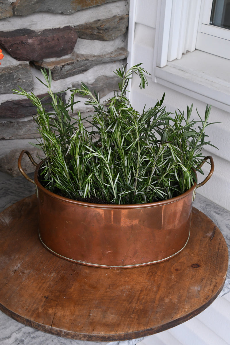 Vintage English Copper Planter