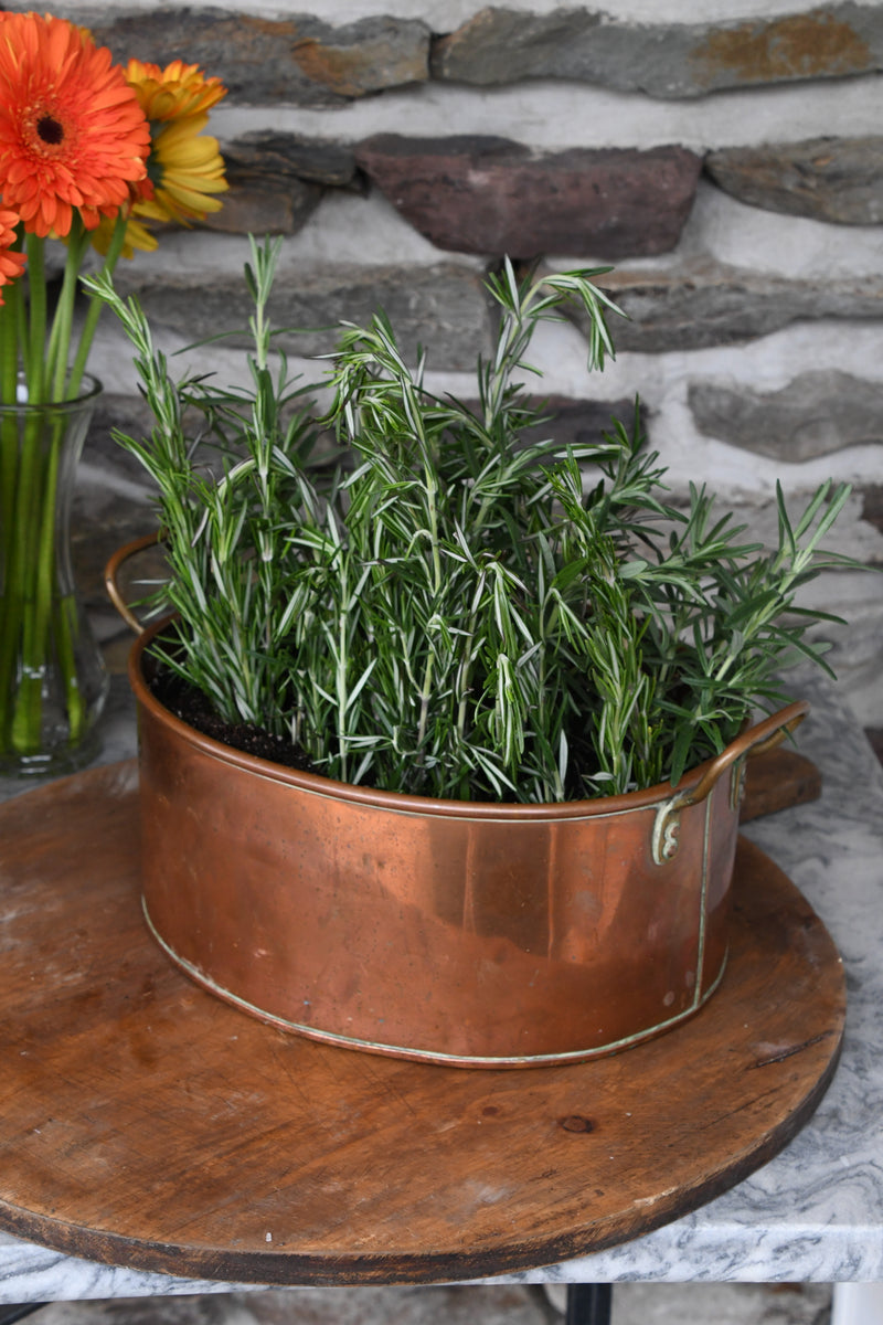Vintage English Copper Planter