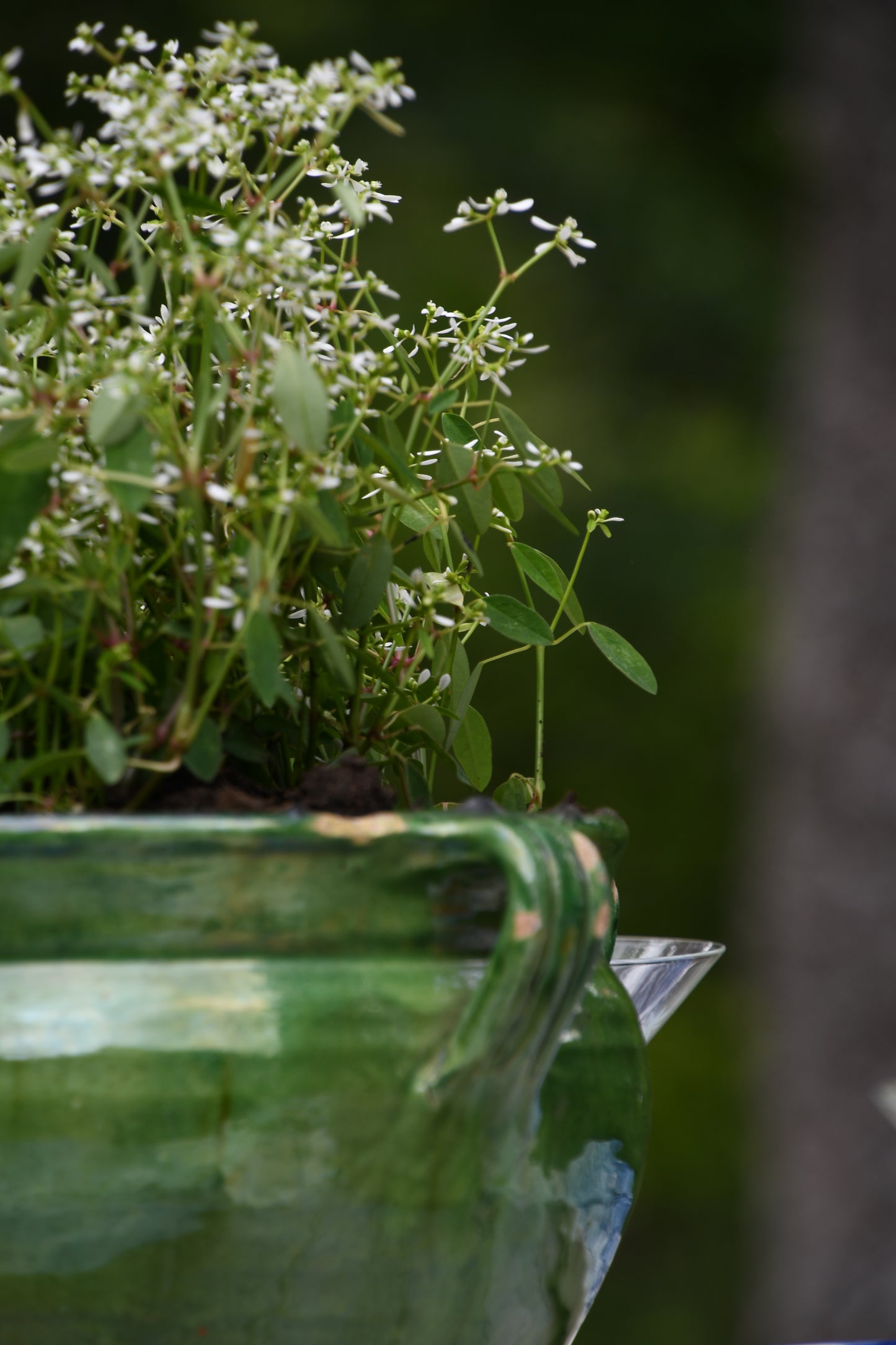 Antique French Green Planter