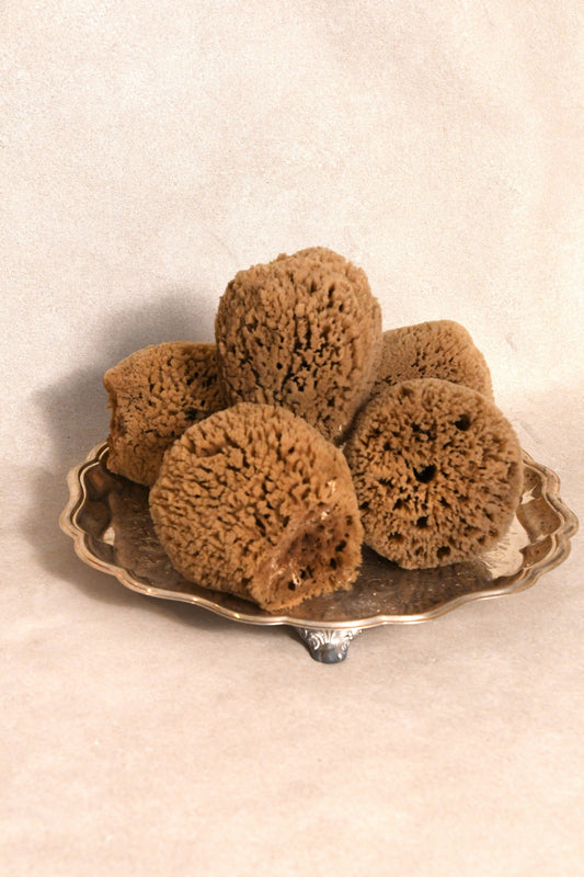 Natural Sea Sponge