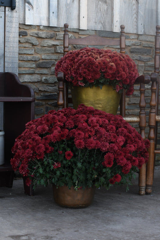 Vintage Brass & Copper Pails - Set of 2