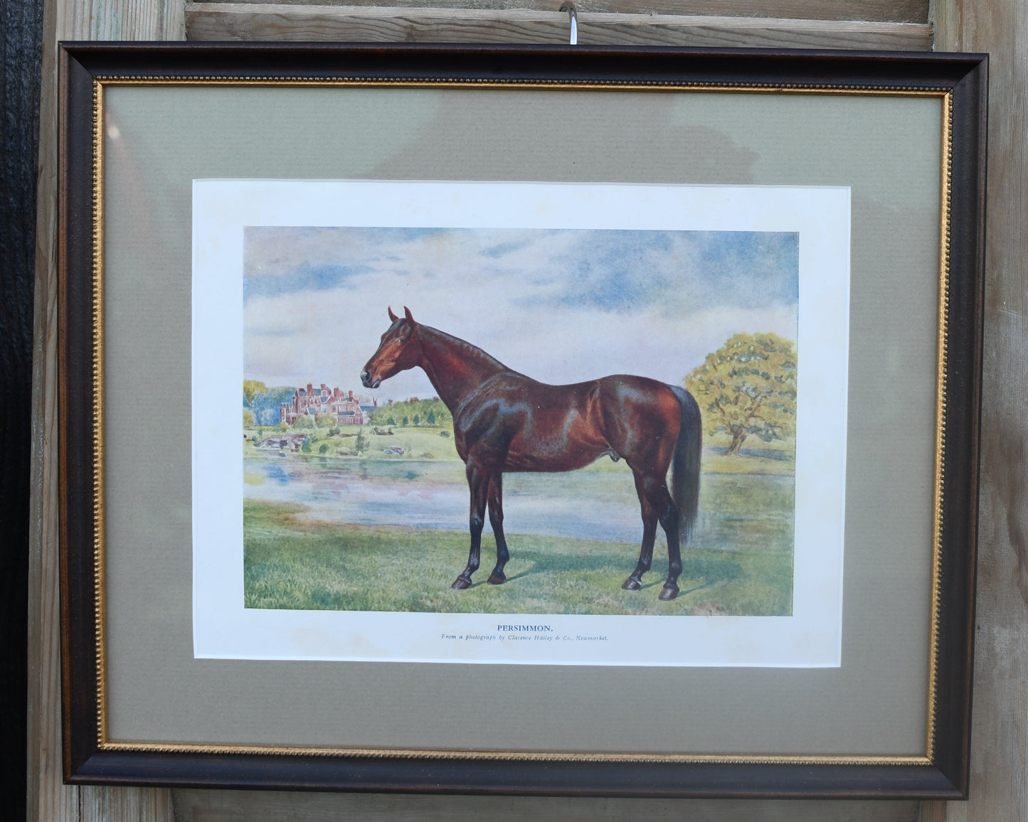 Antique English Horse Prints