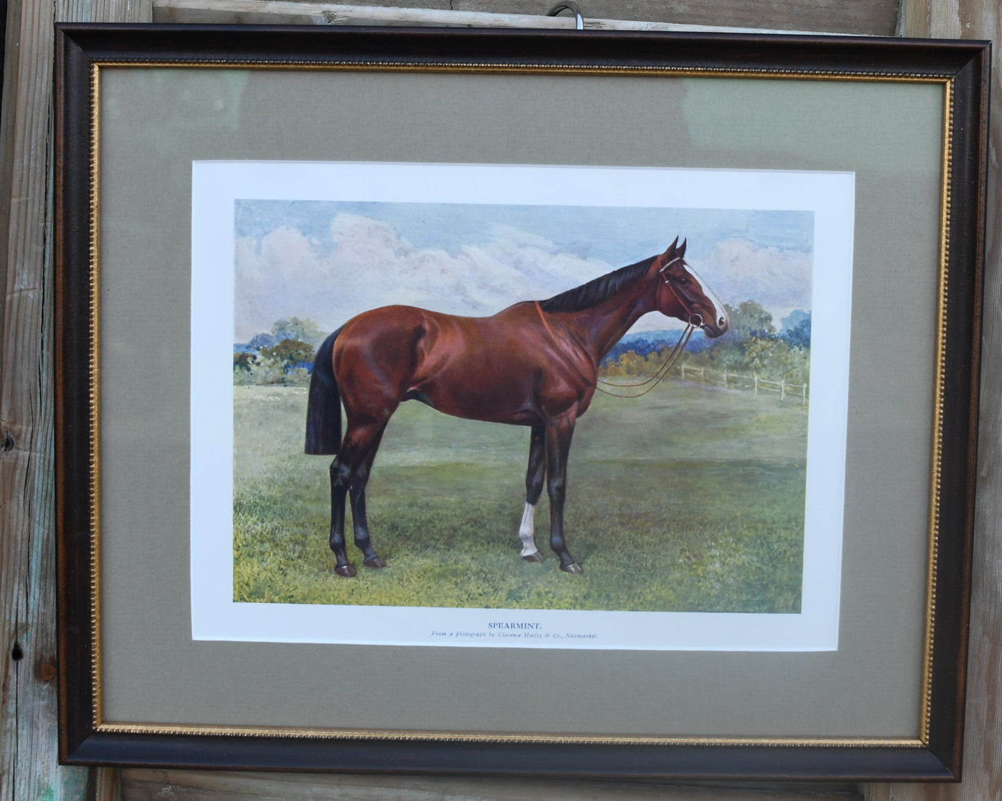 Antique English Horse Prints