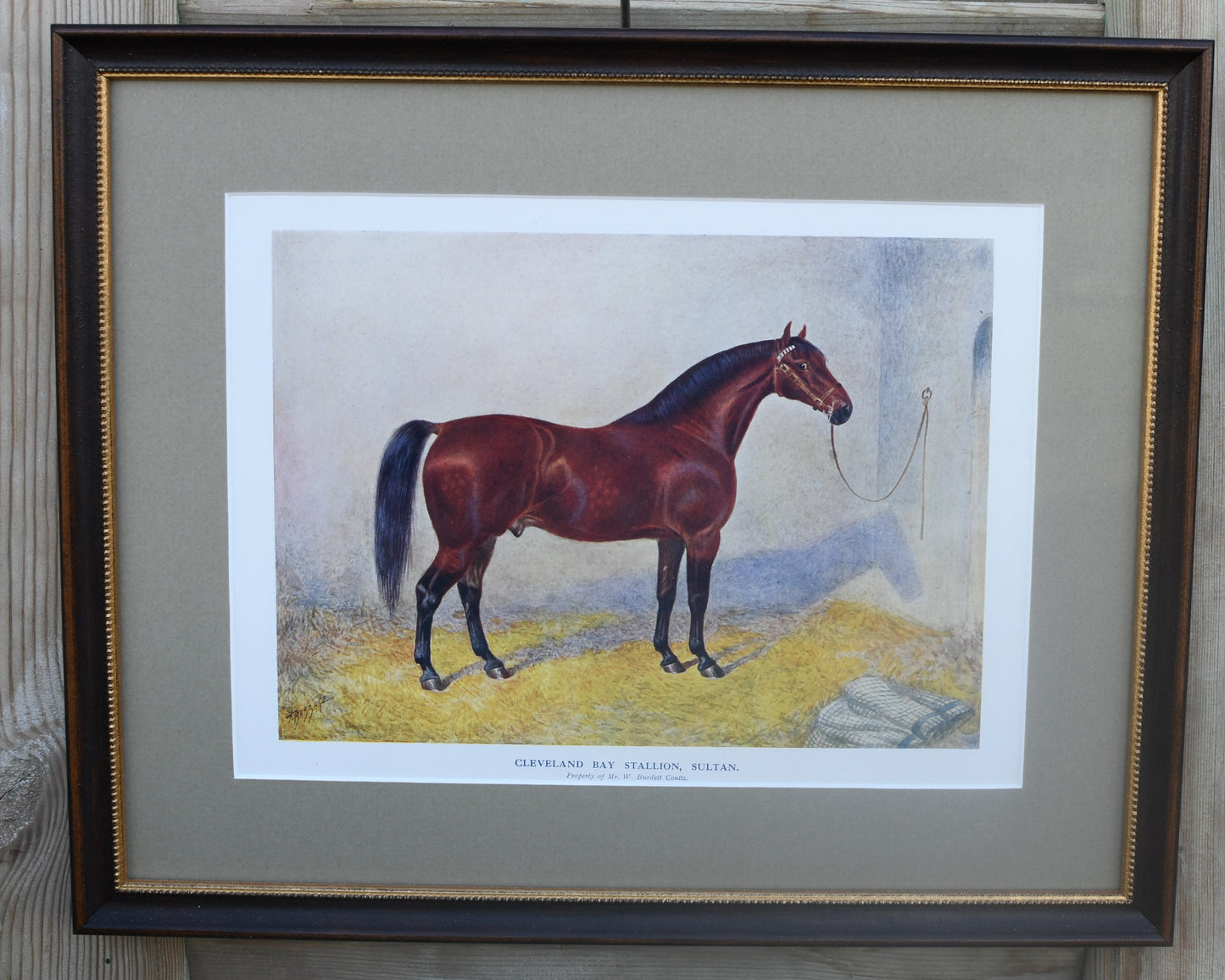 Antique English Horse Prints