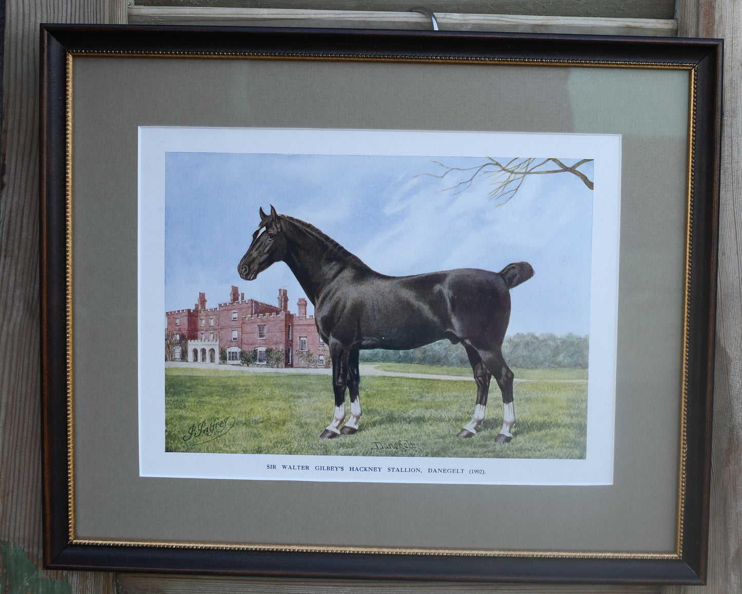 Antique English Horse Prints