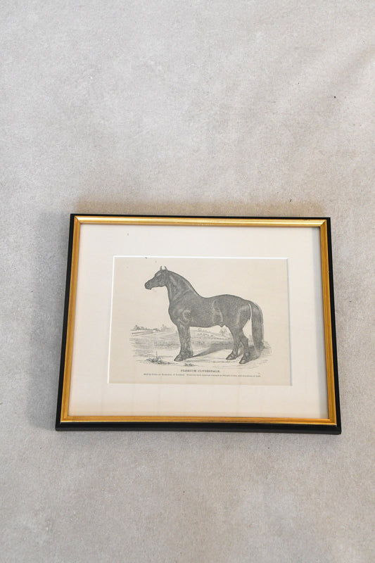 Vintage "Premium Clydesdale" Framed Print