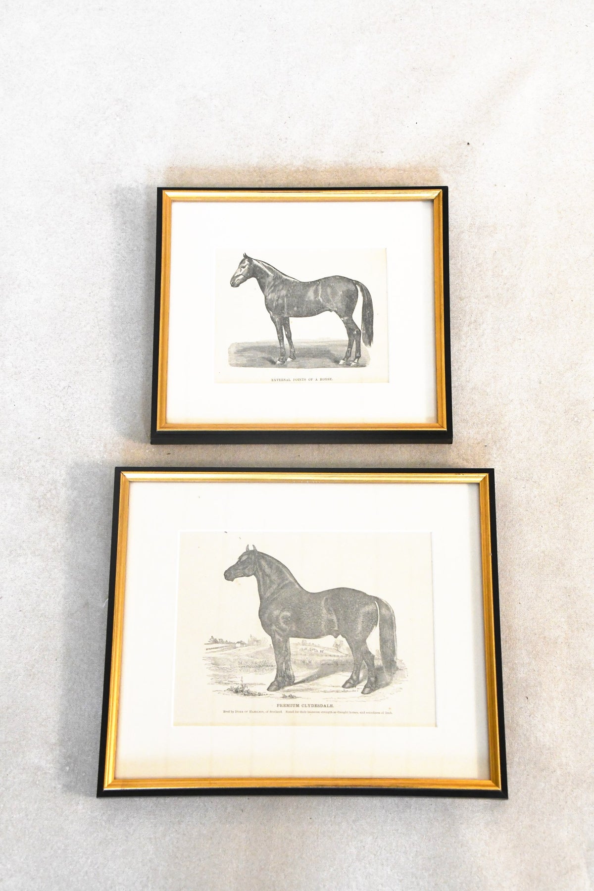 Vintage "Premium Clydesdale" Framed Print